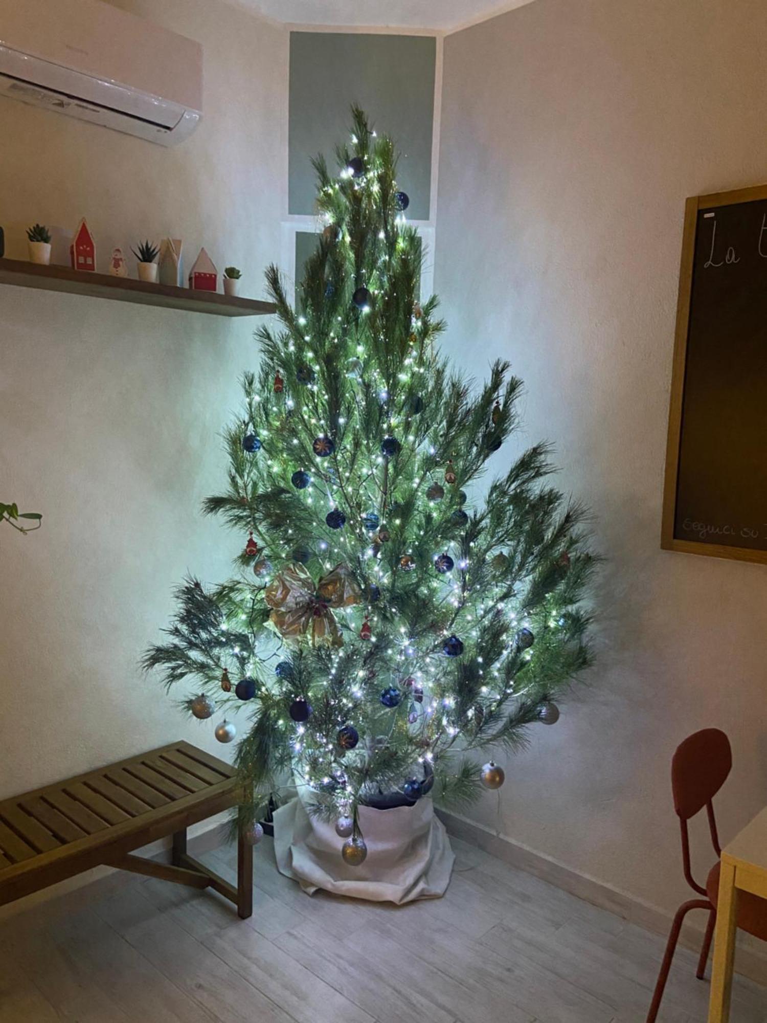 La Terrazza Nel Borgo Hotel Tortora Bagian luar foto